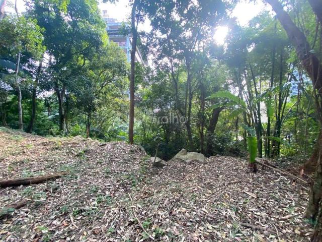 Terreno venda em Pantanal, Florianópolis