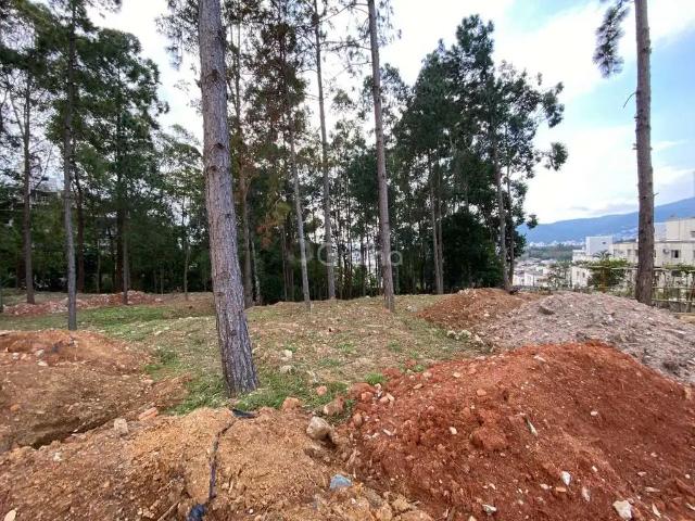 Terreno venda em Região Geográfica Imediata de Florianópolis, Desterro