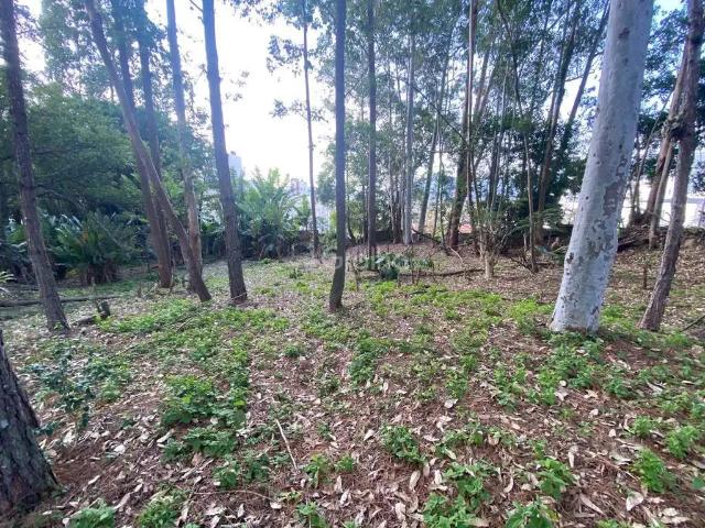 Terreno venda em Região Geográfica Imediata de Florianópolis, Desterro