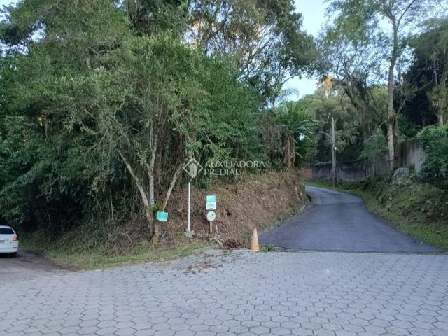 Terreno venda em Pantanal, Florianópolis