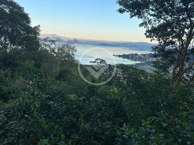 Terreno venda em Pantanal, Florianópolis