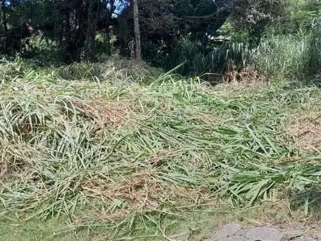 Terreno venda em Região Geográfica Imediata de Florianópolis, Desterro