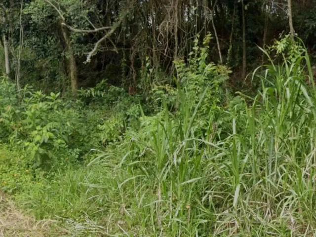 Terreno venda em Região Geográfica Imediata de Florianópolis, Desterro