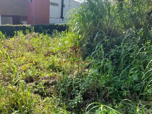 Terreno venda em Região Geográfica Imediata de Florianópolis, Desterro