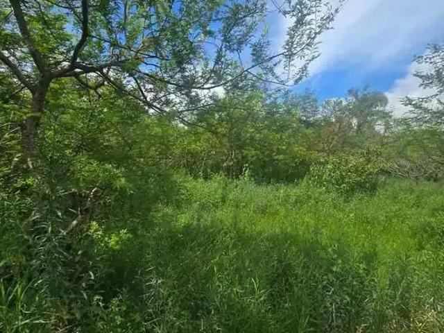Terreno venda em Região Geográfica Imediata de Florianópolis, Desterro