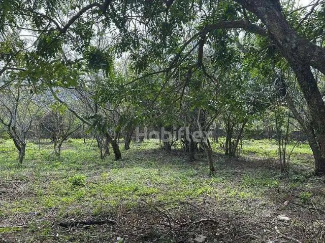 Terreno venda em Região Geográfica Imediata de Florianópolis, Desterro