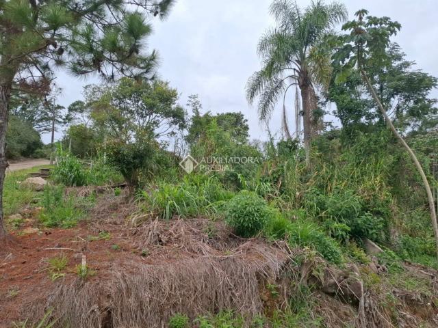 Terreno venda em Região Geográfica Imediata de Florianópolis, Desterro