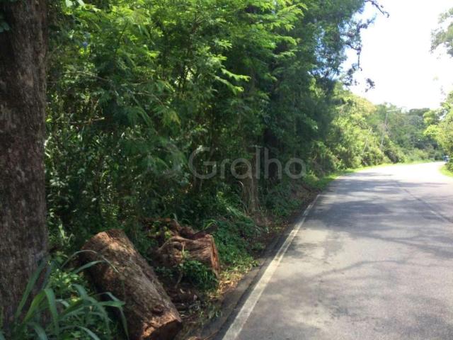 Terreno venda em Alto Ribeirão Oeste, Florianópolis