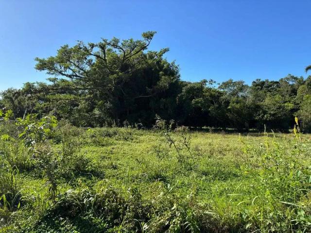 Terreno venda em Região Geográfica Imediata de Florianópolis, Desterro