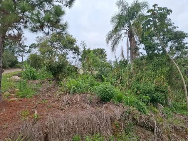 Terreno venda em Região Geográfica Imediata de Florianópolis, Desterro