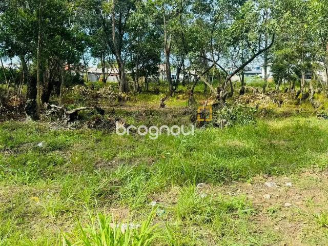 Terreno venda em Região Geográfica Imediata de Florianópolis, Desterro