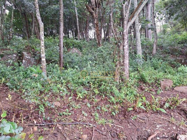 Terreno venda em Região Geográfica Imediata de Florianópolis, Desterro