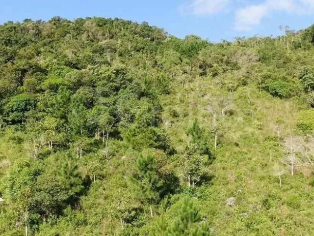 Terreno venda em Região Geográfica Imediata de Florianópolis, Desterro