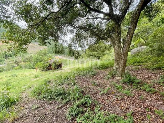 Terreno venda em Região Geográfica Imediata de Florianópolis, Desterro