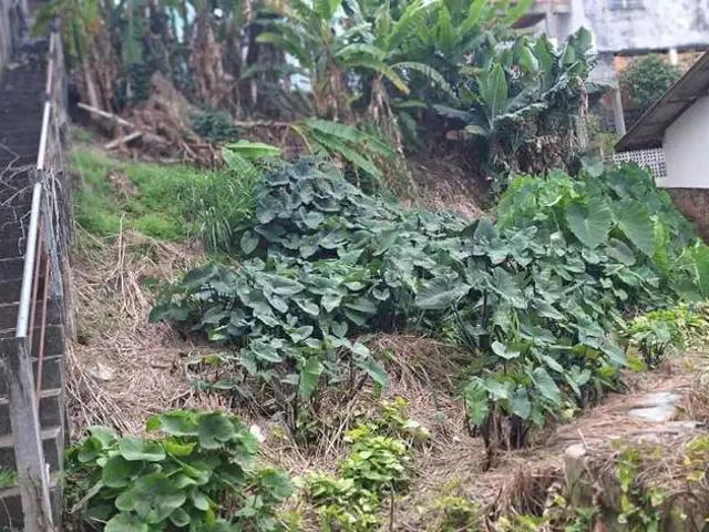 Terreno venda em Região Geográfica Imediata de Florianópolis, Desterro