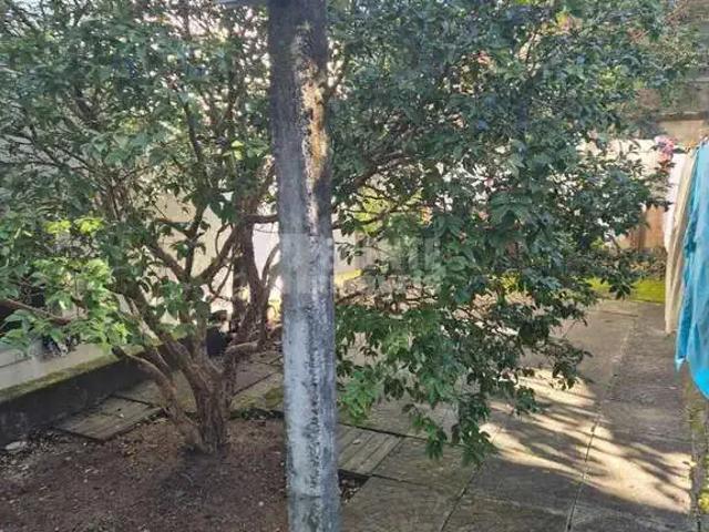 Terreno venda em Região Geográfica Imediata de Florianópolis, Desterro