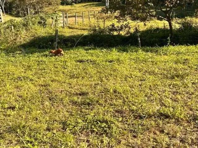 Terreno venda em Região Geográfica Imediata de Florianópolis, Desterro