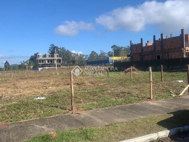 Terreno venda em Canasvieiras, Florianópolis