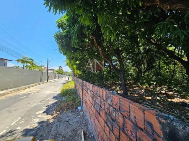 Terreno venda em Cajazeiras, Fortaleza