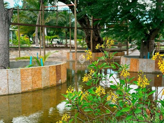 Terreno venda em Maraponga, Fortaleza