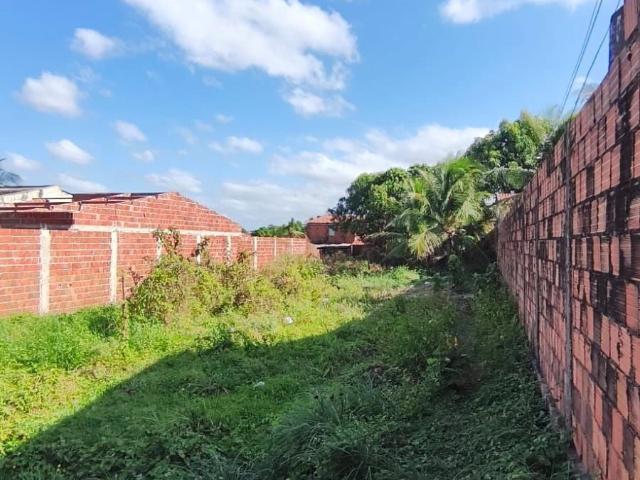 Terreno venda em Siqueira, Fortaleza