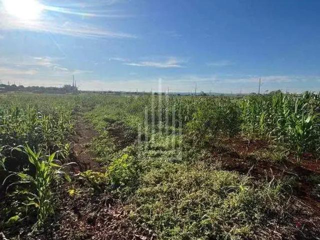Terreno venda em Região Geográfica Imediata de Foz do Iguaçu, Foz do Iguaçu