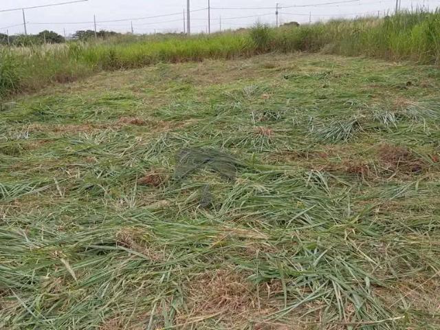 Terreno venda em Foz do Iguaçu, Região Geográfica Intermediária de Cascavel