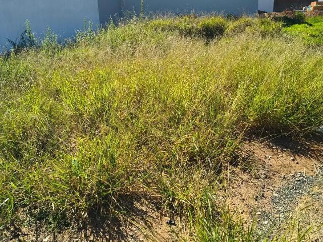 Terreno venda em Região Imediata de Franca, Juranda