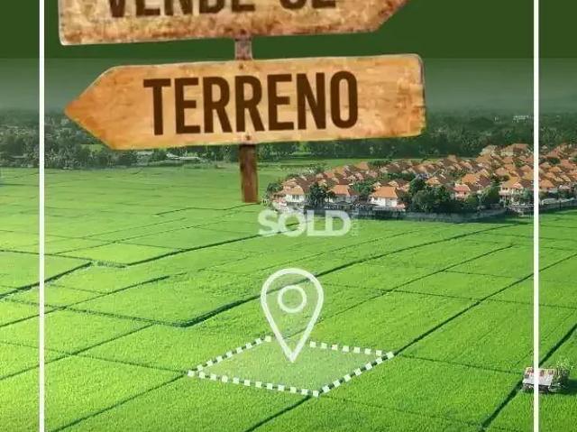 Terreno venda em Região Imediata de Franca, Juranda