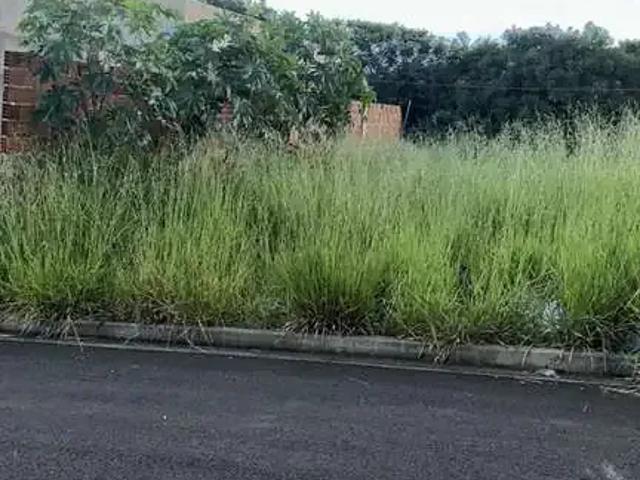 Terreno venda em Região Imediata de Franca, Juranda