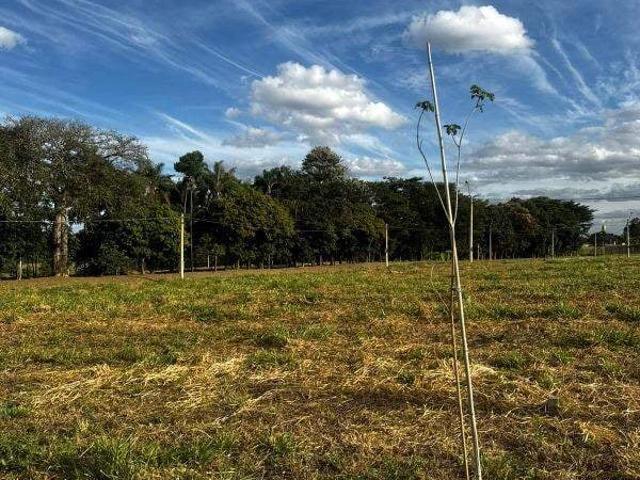 Terreno venda em Cidade Nova, Franca