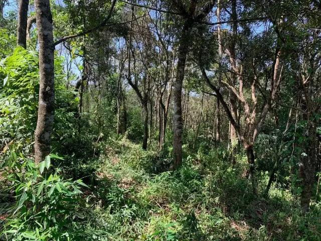 Terreno venda em Vila Espanhola, Francisco Morato
