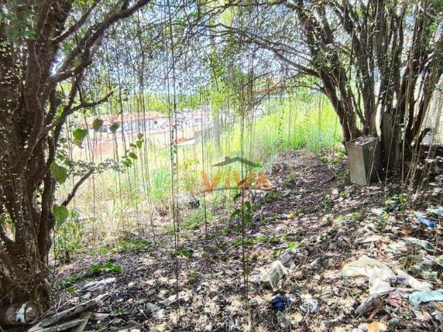 Terreno venda em Região Imediata de Amparo, Amparo