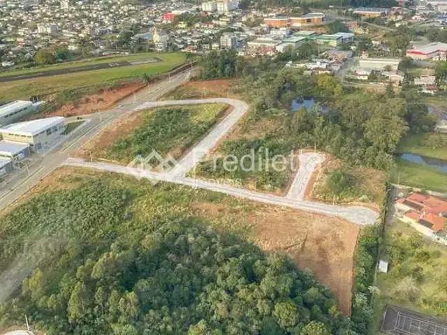 Terreno venda em Garibaldi