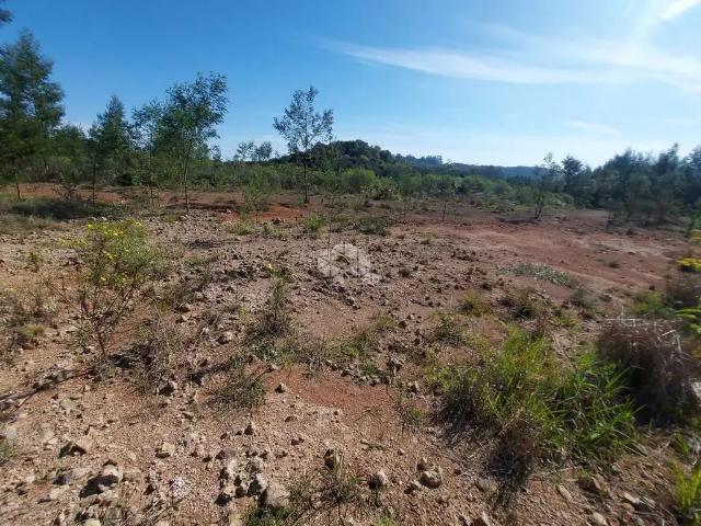 Terreno venda em Garibaldi