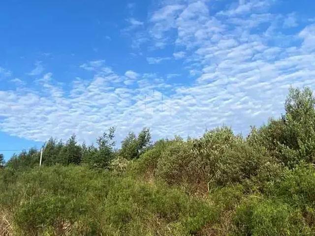 Terreno venda em Garibaldi