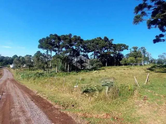 Terreno venda em Garibaldi