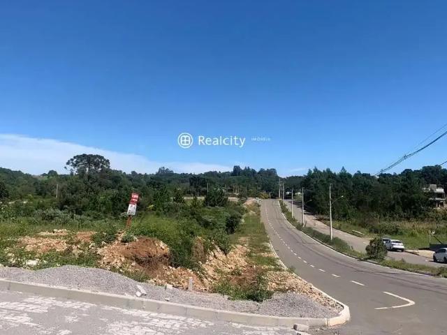 Terreno venda em Garibaldi