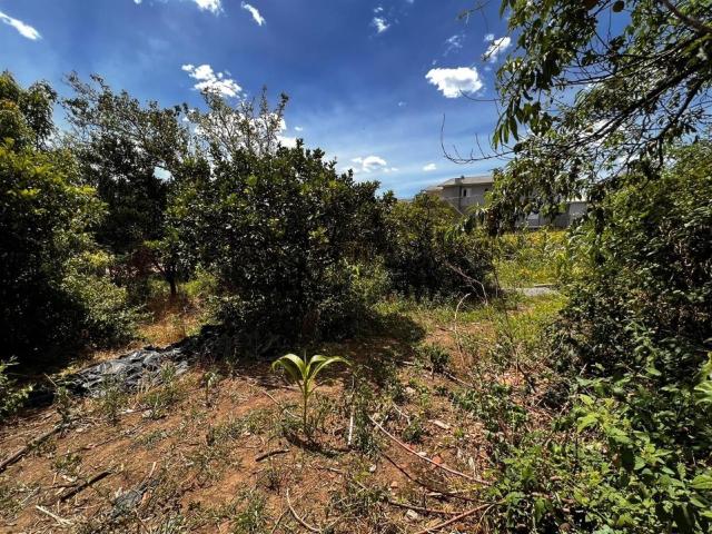 Terreno venda em Garibaldi, Região Geográfica Intermediária de Caxias do Sul