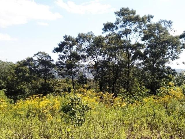 Terreno venda em Garibaldi, Região Geográfica Intermediária de Caxias do Sul