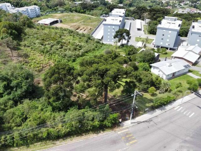 Terreno venda em Garibaldi