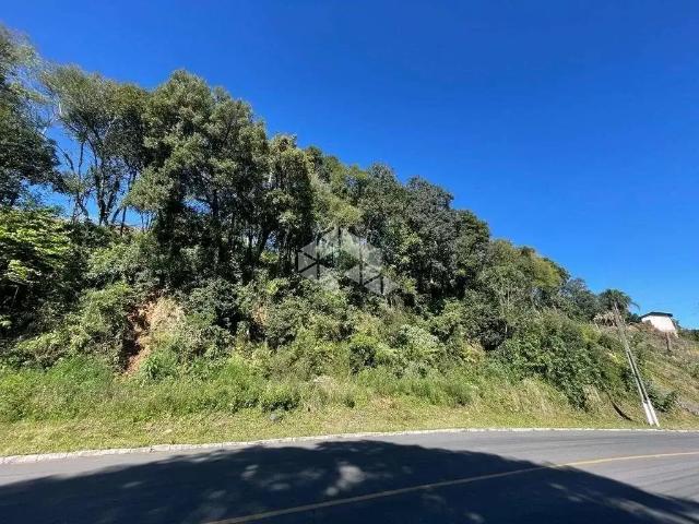 Terreno venda em Garibaldi