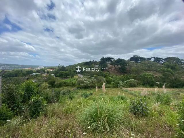 Terreno venda em Garibaldi