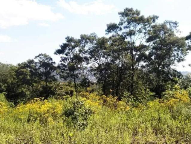 Terreno venda em Região Geográfica Imediata de Bento Gonçalves, Garibaldi