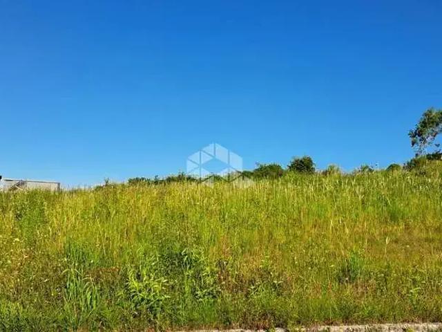 Terreno venda em Garibaldi