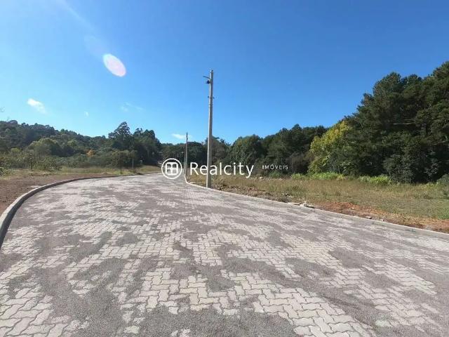Terreno venda em Garibaldi