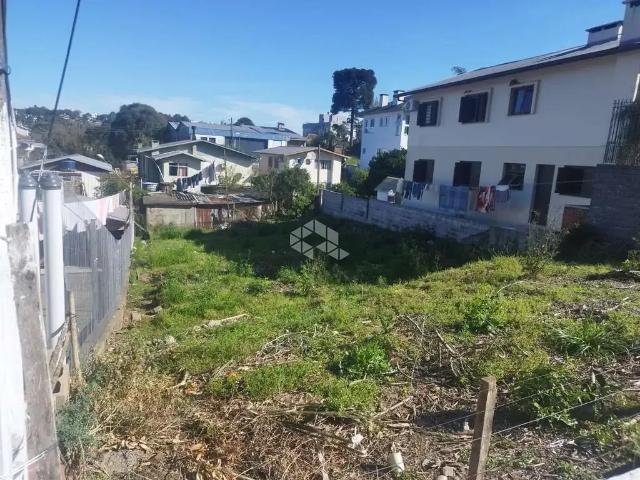 Terreno venda em Garibaldi
