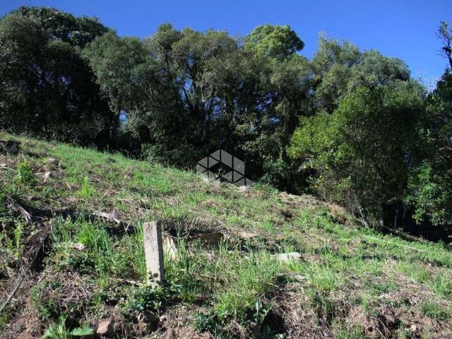 Terreno venda em Garibaldi