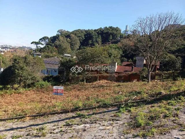 Terreno venda em Região Geográfica Imediata de Bento Gonçalves, Garibaldi