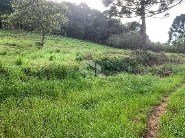 Terreno venda em Gramado